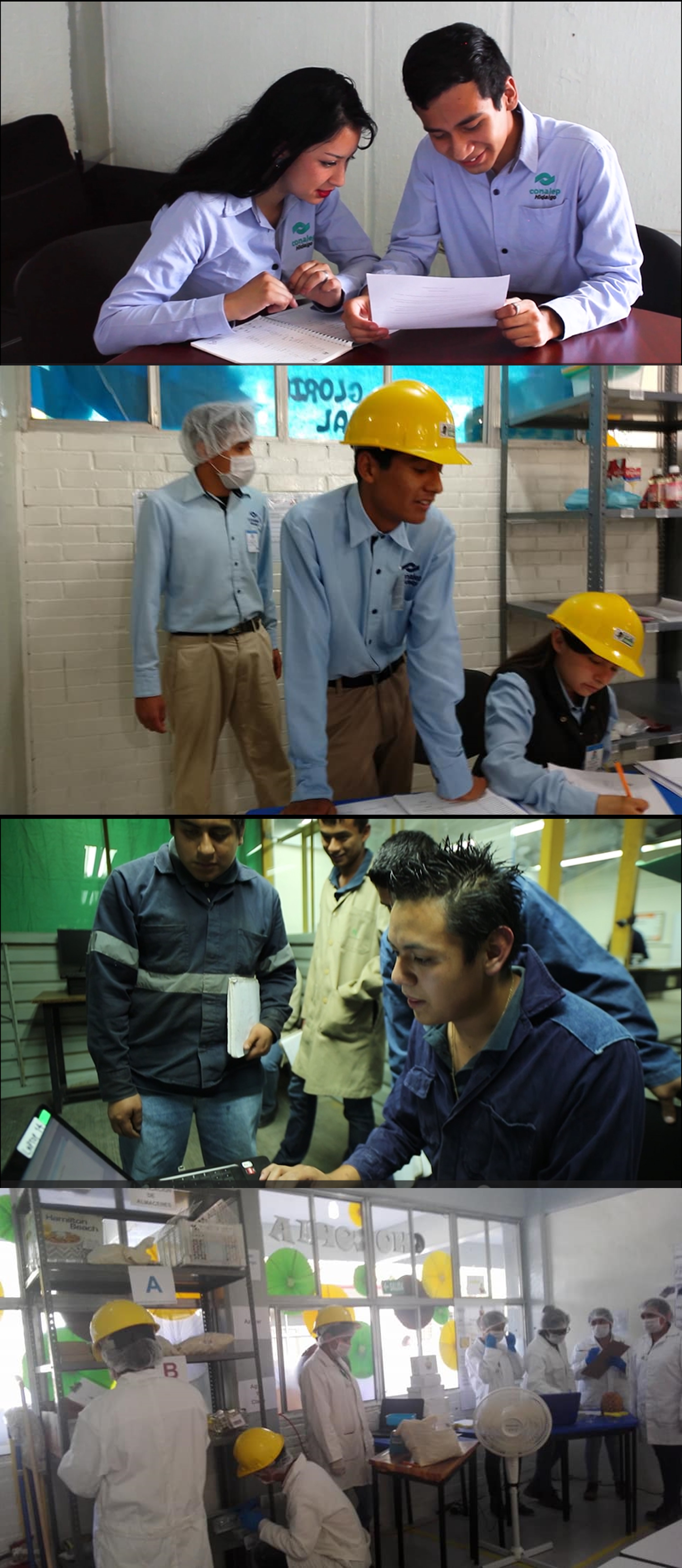 Productividad Industrial